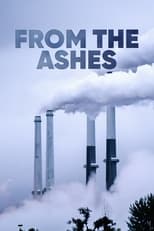 Poster de la película From the Ashes
