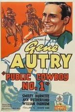 Poster de la película Public Cowboy No. 1