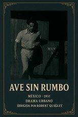 Poster de la película Ave sin rumbo