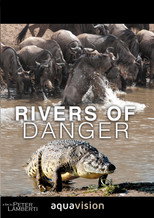 Poster de la película Rivers of Danger