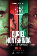 Poster de la película Adrian Curiel vs. Sivenathi Nontshinga II