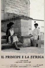 Poster de la película The Prince and the Witch