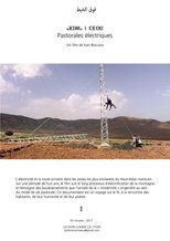 Poster de la película Pastorales électriques