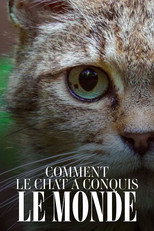 Poster de la película Comment le chat a conquis le monde