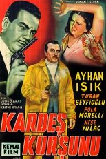 Poster de la película Kardeş Kurşunu