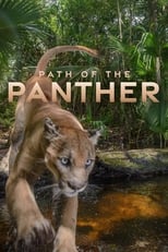 Poster de la película Path of the Panther