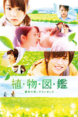 Poster de la película Evergreen Love