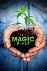 Poster de la película The Magic Plant
