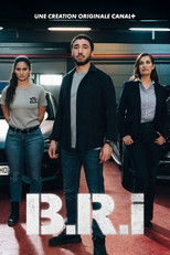 Poster de la serie The Brigade