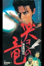 Poster de la película Mahjong Hishoden: Ryu the Caller