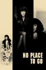 Poster de la película No Place to Go