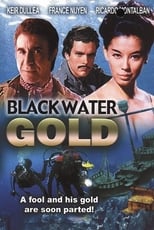 Poster de la película Black Water Gold