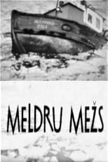 Poster de la película Meldru mežs