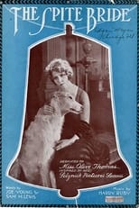 Poster de la película The Spite Bride