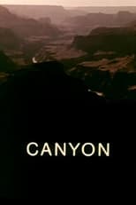 Poster de la película Canyon