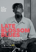 Poster de la película Late Blossom Blues