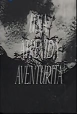 Poster de la película Una atrevida aventurita