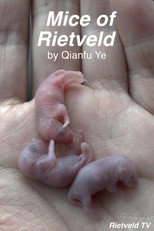 Poster de la película Mice of Rietveld