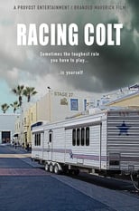 Poster de la película Racing Colt