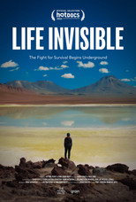 Poster de la película Life Invisible
