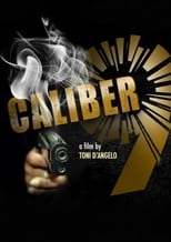 Poster de la película Caliber 9