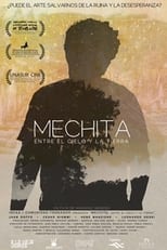 Poster de la película Mechita: Entre el Cielo y la Tierra