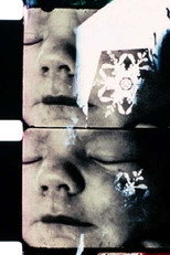 Poster de la película The Art of Vision