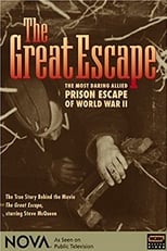 Poster de la película Great Escape