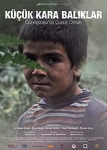 Poster de la película Little Black Fishes