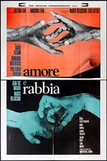 Poster de la película Amor y rabia