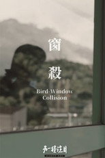 Poster de la película Bird-Window Collisions