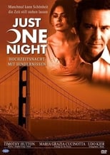 Poster de la película Just One Night