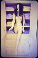 Poster de la película Womanhouse