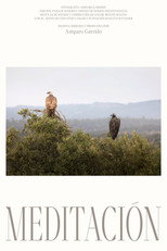Poster de la película Meditación