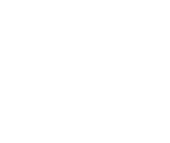 Logo Three Identical Strangers