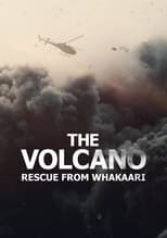 Poster de la película The Volcano: Rescue from Whakaari