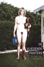 Poster de la película De Vliegende Panters: Ebbinge, Vrijdag en De Bekker