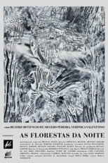 Poster de la película As Florestas da Noite