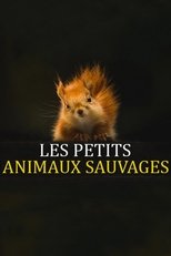 Poster de la serie Les Petits Animaux Sauvages