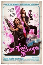 Poster de la película Two Scoops