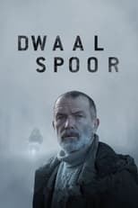 Poster de la película Dwaalspoor