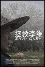 Poster de la película Saving Levi