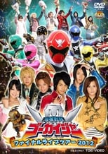 Poster de la película Kaizoku Sentai Gokaiger: Final Live Tour 2012