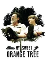 Poster de la película My Sweet Orange Tree