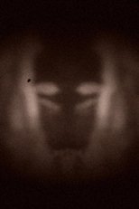 Poster de la película L’effet miroir