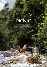 Poster de la película Picnic