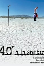 Poster de la película 40° a la sombra