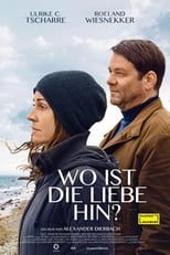 Poster de la película Wo ist die Liebe hin?