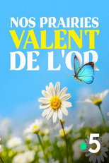 Poster de la película Nos prairies valent de l'or