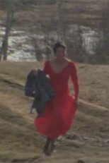 Poster de la película The Red Dress